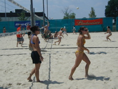 P1010078.JPG