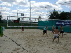 P1010028.JPG